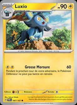 Carte Pokémon