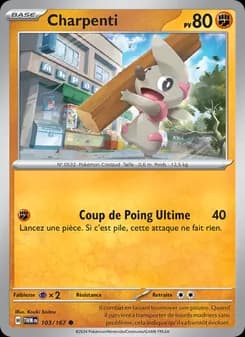 Carte Pokémon