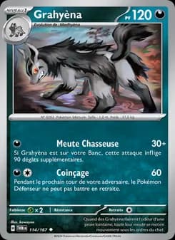 Carte Pokémon