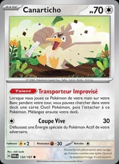 Carte Pokémon