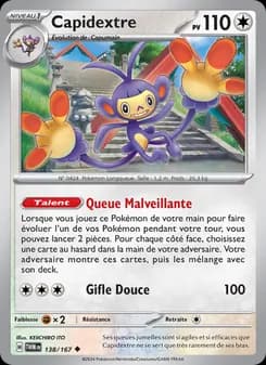 Carte Pokémon