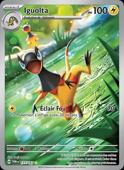 Carte Pokémon