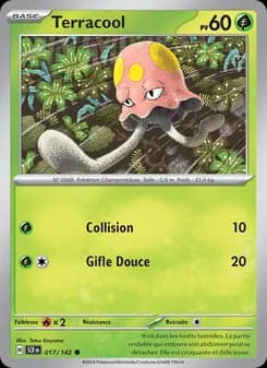 Carte Pokémon