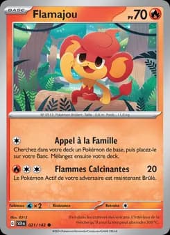 Carte Pokémon