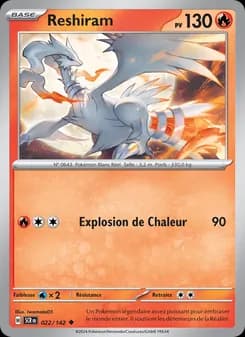 Carte Pokémon
