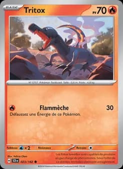 Carte Pokémon