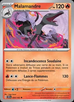 Carte Pokémon