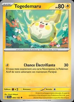 Carte Pokémon