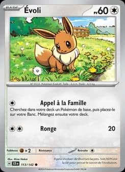 Carte Pokémon