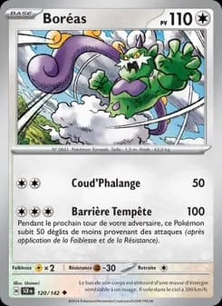 Carte Pokémon