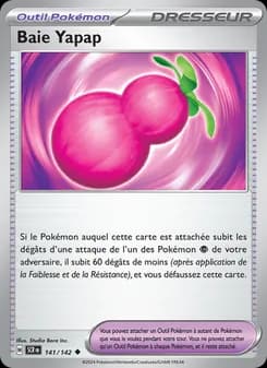 Carte Pokémon