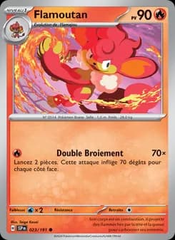 Carte Pokémon