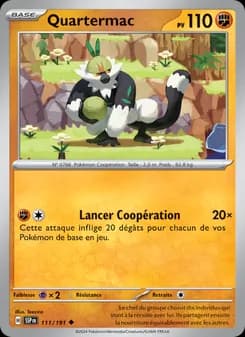 Carte Pokémon