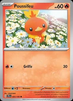 Carte Pokémon