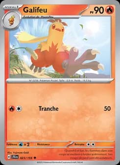 Carte Pokémon