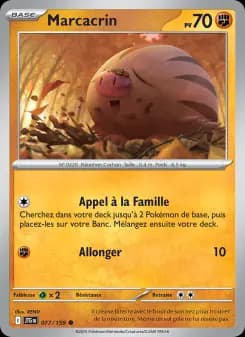 Marcacrin