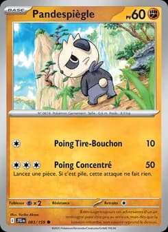 Carte Pokémon