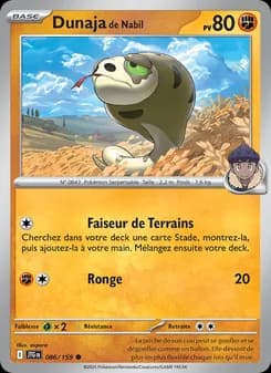 Carte Pokémon