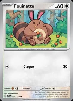 Carte Pokémon