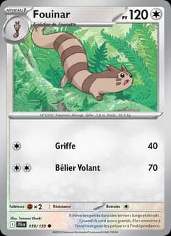 Carte Pokémon