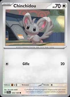 Carte Pokémon