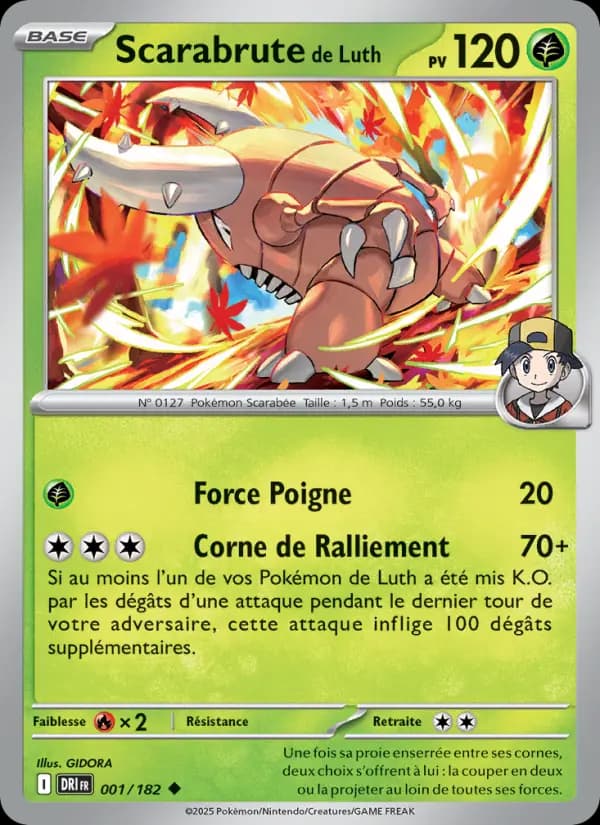 Scarabrute de Luth