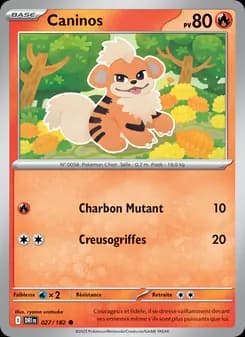 Carte Pokémon