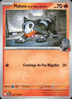 Malosse de la Team Rocket