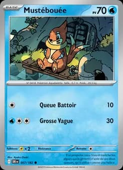Carte Pokémon