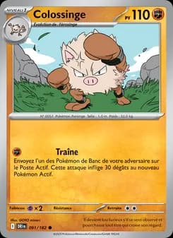 Carte Pokémon