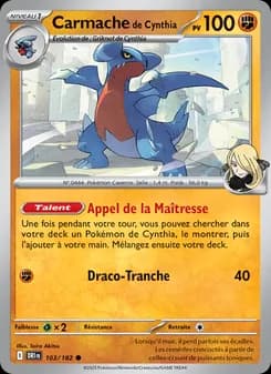 Carte Pokémon