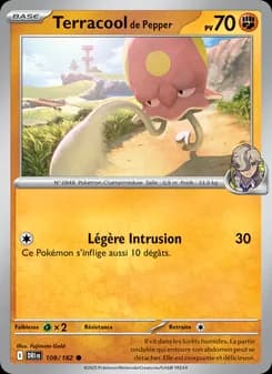 Carte Pokémon