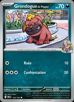 Carte Pokémon