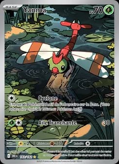 Carte Pokémon