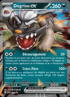 Carte Pokémon