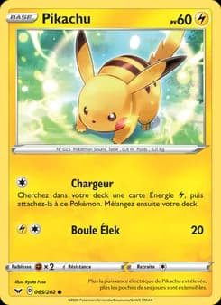Carte Pokémon