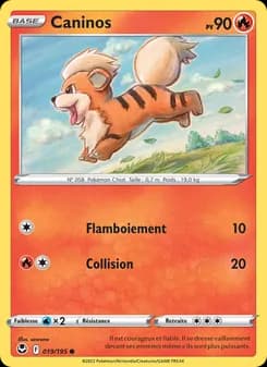 Carte Pokémon