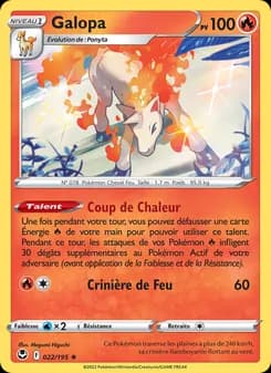 Carte Pokémon