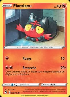 Carte Pokémon