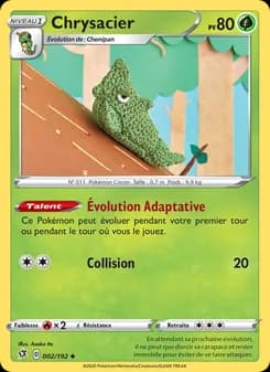 Carte Pokémon