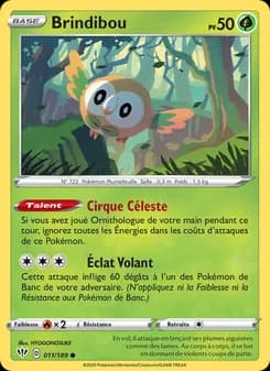 Carte Pokémon