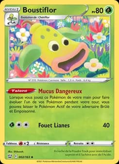 Carte Pokémon