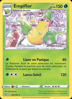 Carte Pokémon