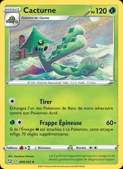 Carte Pokémon