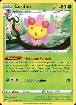 Carte Pokémon