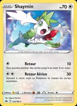 Carte Pokémon