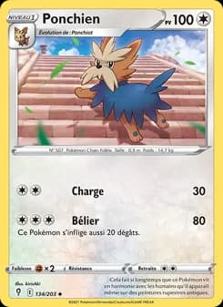 Carte Pokémon