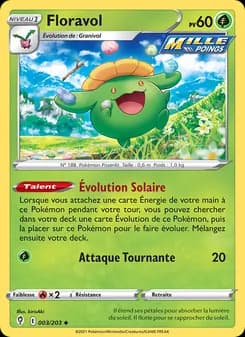 Carte Pokémon