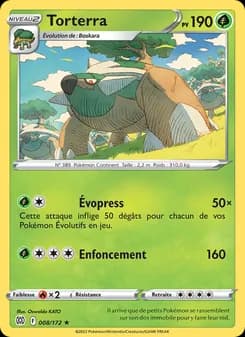 Carte Pokémon
