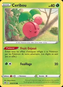 Carte Pokémon